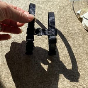 Cat/small dog harness